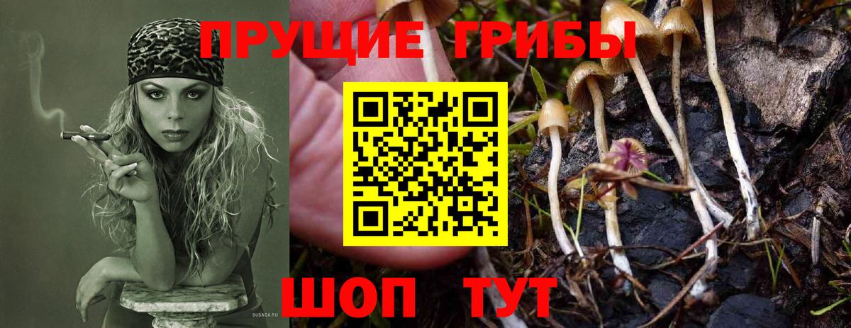 Псилоцибиновые грибы мухоморы Кимовск