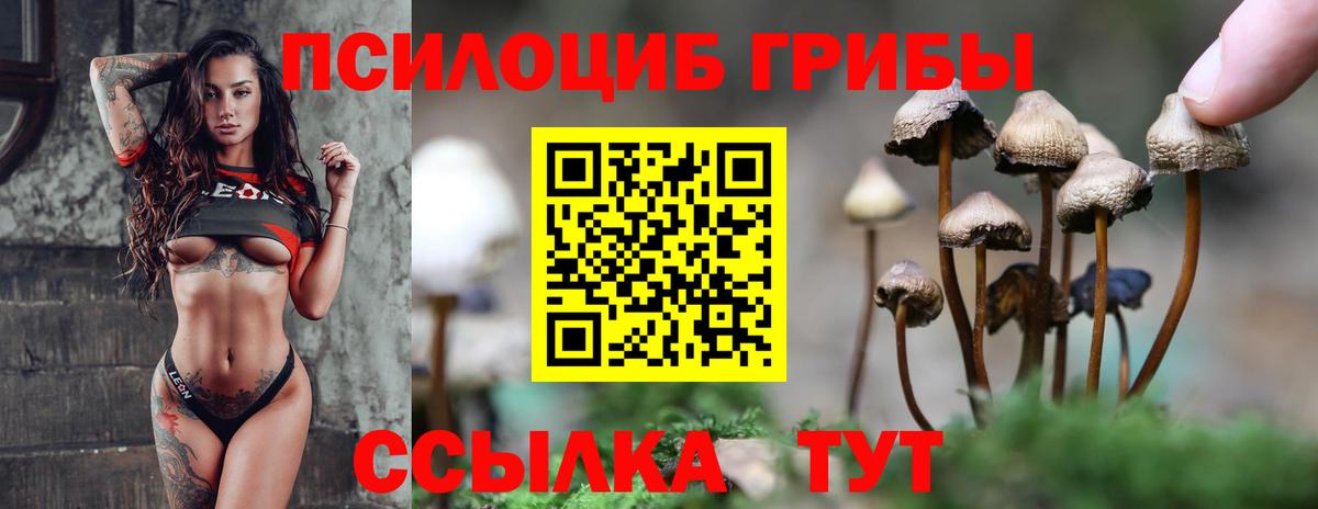 Псилоцибиновые грибы мухоморы  Галлюциногенные грибы прущие грибы  Вход с VPN  Кимовск 